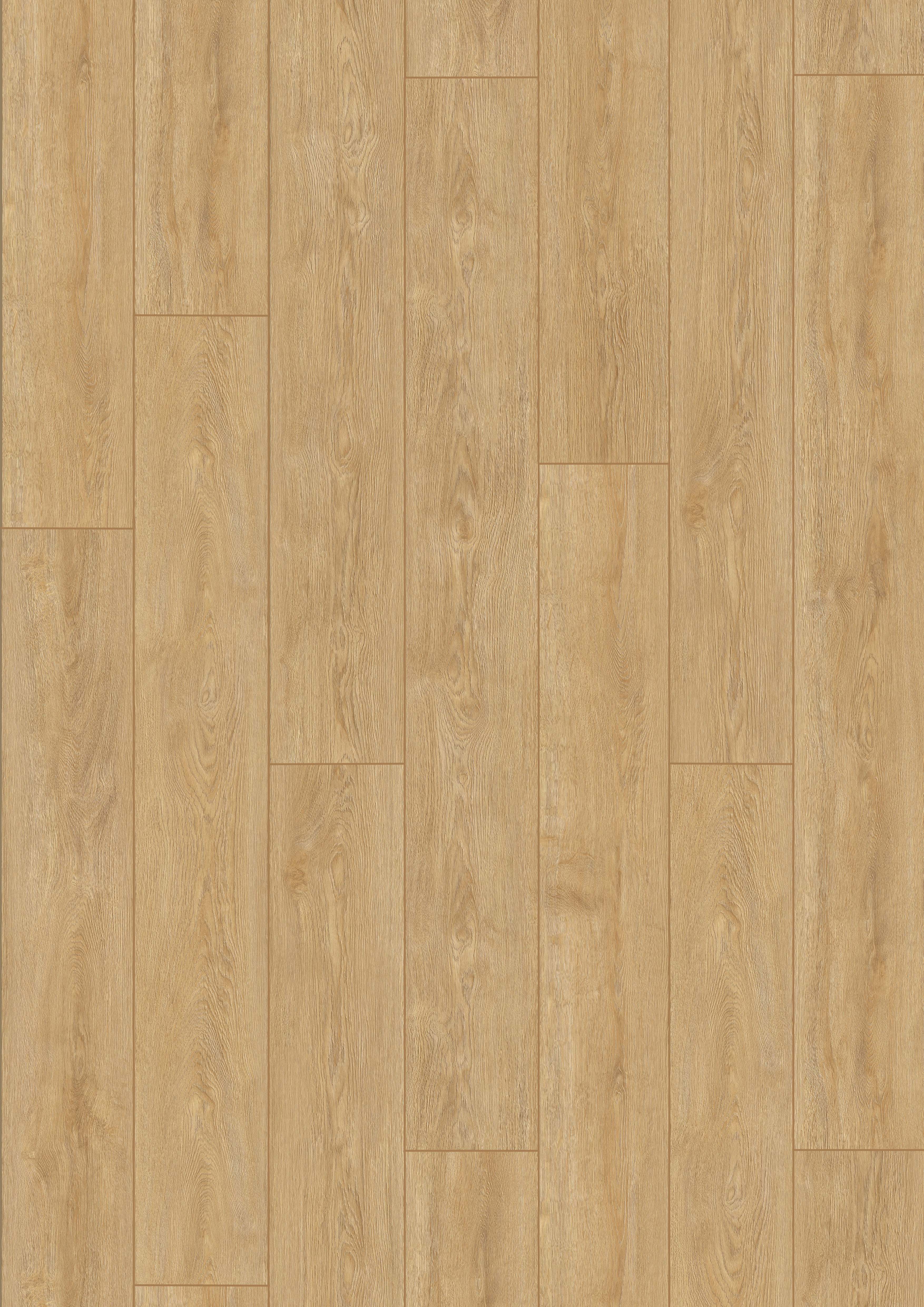 Gold PRO800 GRAN REAL mV4 - PROG03 ROBLE ESTOCOLMO