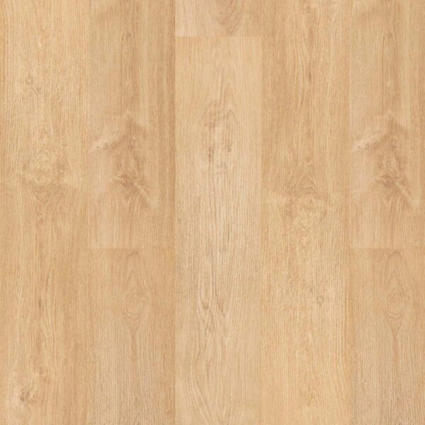 PRO804 Roble Azufre