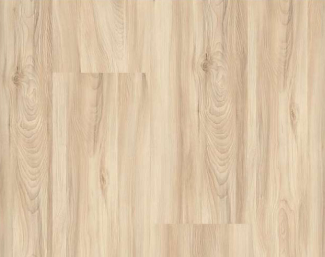 Faus Eco S184169 Arce Deva