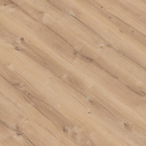 Gold Essential V4 - E003 ROBLE MENPHIS