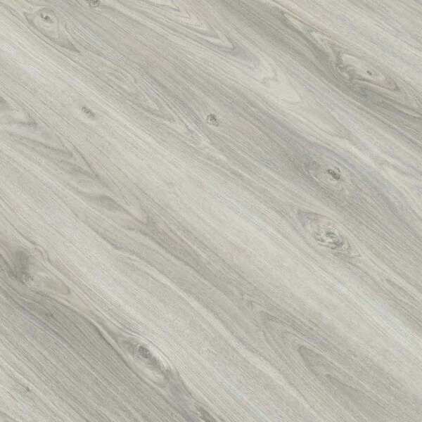 Gold Essential V4 - E007 ROBLE ALASKA